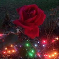 Laurie Slusher Photo 3