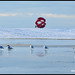 Garry Long Photo 25