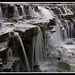 Sharon Wood Photo 17