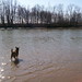 Ginger Sampson Photo 5