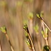 Mark Monteleone Photo 11