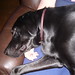 Nancy Franklin Photo 19