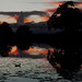 Stephen Lock Photo 24