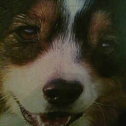 Teresa Mills Photo 32