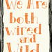 Duane Wilder Photo 11