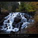 Lee Mitchell Photo 33