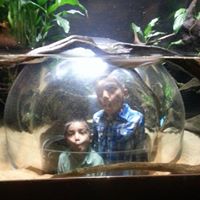 Deepali Shah Photo 28