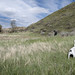 Jane Sites Photo 11