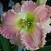 Connie Burton Photo 41