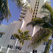 Donald Collins Photo 22