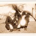 William Andrus Photo 16