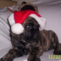Bonnie Groves Photo 1