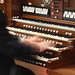 Robert Skinner Photo 20