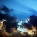 Dawn Wilcox Photo 30