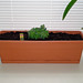 Steven Basil Photo 5