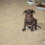 Kathy Fuller Photo 22
