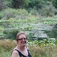 Suzanne Schmidt Photo 25