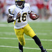 Lon Robinson Photo 9