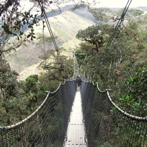 Eric Howe Photo 37