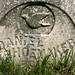 Daniel Shoemaker Photo 16
