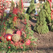 Lisa Kemper Photo 38