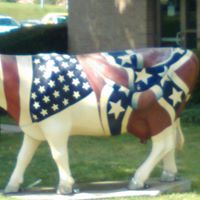 Gerald Coppola Photo 11