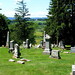 Sharon Dougherty Photo 24