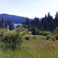Barbara Comstock Photo 11