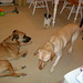 Dixie Spencer Photo 17