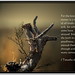 Timothy Root Photo 21