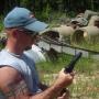 Robert Mcelroy Photo 42