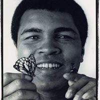 Walter Franks Photo 7