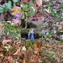 Mary Hawes Photo 27