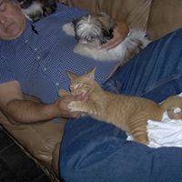 Dennis Fox Photo 27
