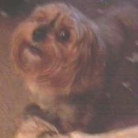 Gayle Dillon Photo 4