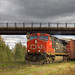 Gordon Gordon Photo 19