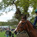 Jane Lazenby Photo 9