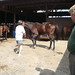 Janet Slaughter Photo 14