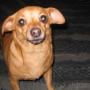 Barbara Threatt Photo 4