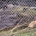 Robert Banks Photo 41