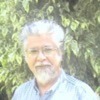 Luis Pineda Photo 36
