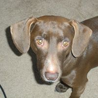 Sammy Mcclain Photo 10