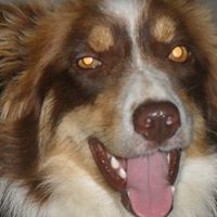 Mable Cook Photo 4