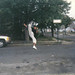 Lee Anthony Photo 32