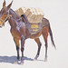 Terry Elkins Photo 5