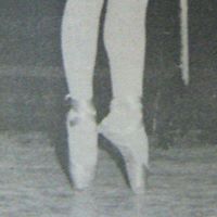 Robin Sharpe Photo 18