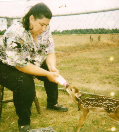 Deborah Williams Photo 26