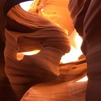Susan Gilpin Photo 19
