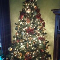 Michelle Whipple Photo 18