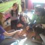 Elizabeth Hardiman Photo 10